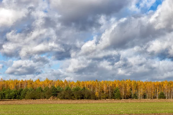 Krajina Podzimní Stromy Mraky — Stock fotografie