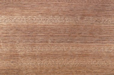 Arka plan olarak kullanmak için ahşap kaplama.