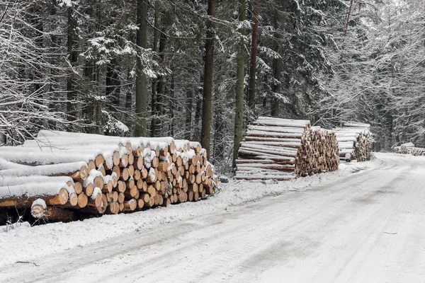 Pile Wood Logs Ready Winter Stock Photo