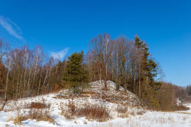 Ormandaki beyaz kış manzarası. 