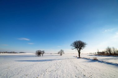 Alan arka plan mavi bir gökyüzü ile kar ile kaplı