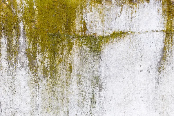 Staré grunge betonové stěny pozadí nebo textura — Stock fotografie