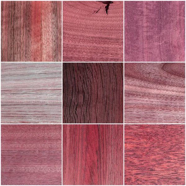 Gran colección de fondos de textura de madera — Foto de Stock