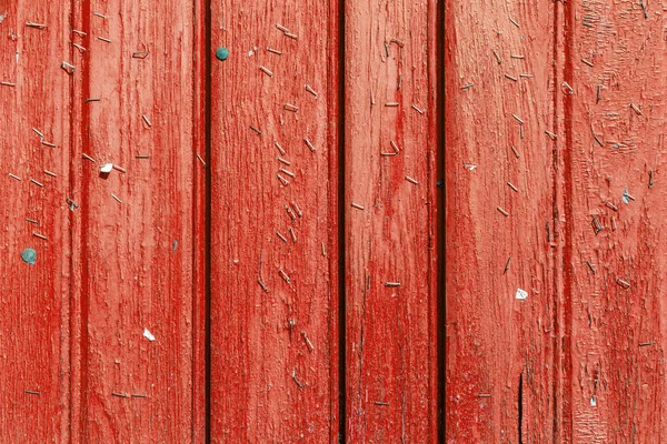 Agrafes sur un vieux mur en bois . — Photo
