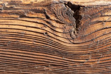 Doğal desenli eski ahşap doku.