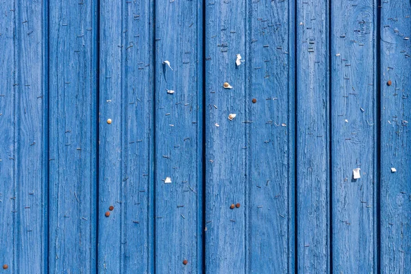Grampos em uma parede de madeira velha . — Fotografia de Stock