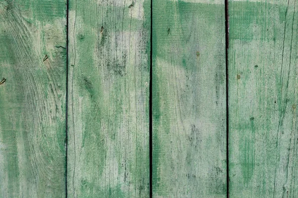 古い緑の木の質感と自然パターン — ストック写真