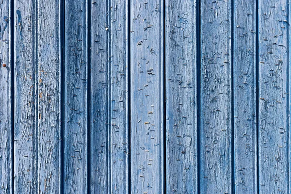 Staples on an old wooden wall. — Stock Photo, Image