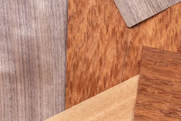 Trä faner att använda som bakgrund — Stockfoto