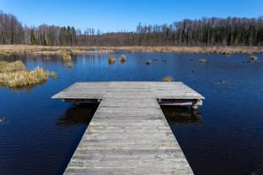 Yaz aylarında göl manzara. Mavi gökyüzü
