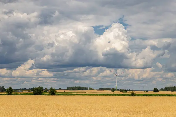 O céu azul com as nuvens acima da paisagem cereal e vento — Fotografia de Stock