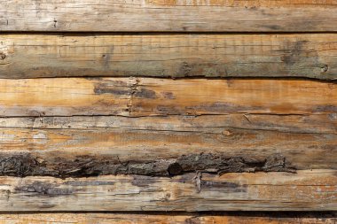 Arkaplan olarak kullanmak için doğal ahşap.