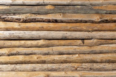 Arkaplan olarak kullanmak için doğal ahşap.