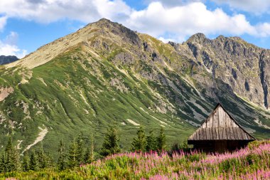 Gasienicowa'da Tatras dağlarının ve rengarenk çiçeklerin manzarası