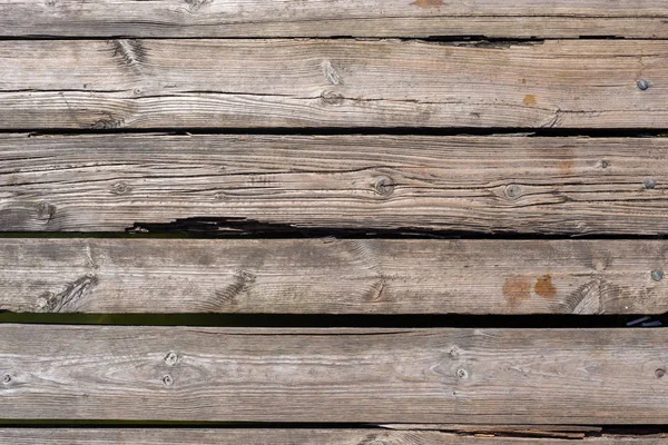 Bakgrunn fra trestruktur – stockfoto