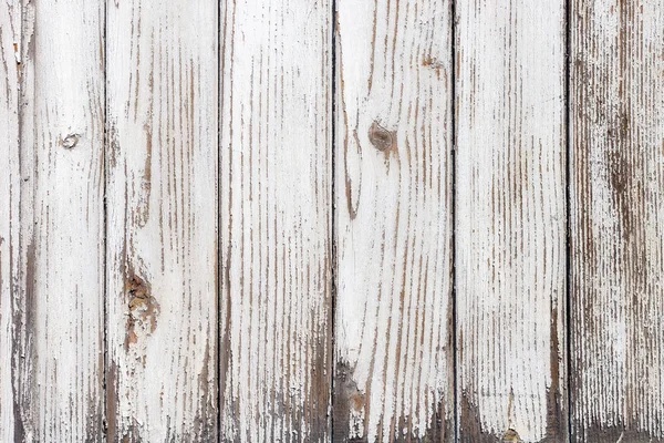 De witte houtstructuur met natuurlijke patronen achtergrond — Stockfoto
