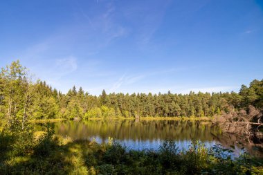 ormanda güzel bir göl