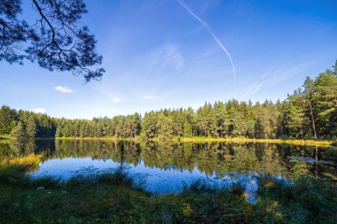 ormanda güzel bir göl