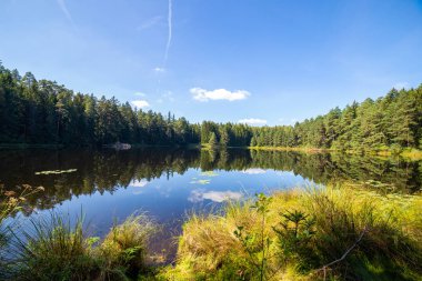 ormanda güzel bir göl