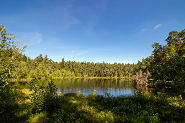 En vacker sjö i skogen — Stockfoto