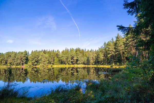 Красивое озеро в лесу — стоковое фото