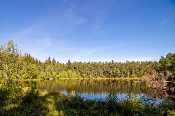 Um belo lago na floresta — Fotografia de Stock