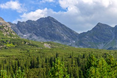 Tatras dağlarının manzarası. Polonya