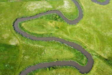 Yeşil tarladaki kıvrımlı nehrin hava manzarası