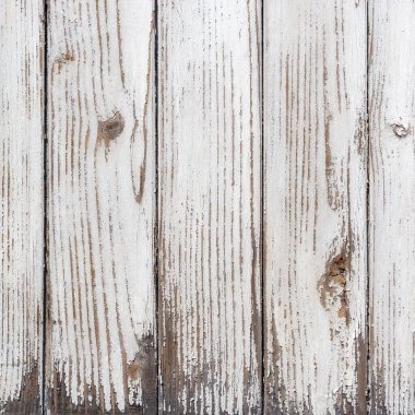 Doğal desenli beyaz ahşap doku