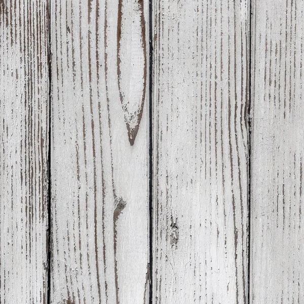 White Wood Texture Natural Patterns Background — Stock Photo, Image