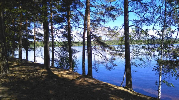 Een Prachtig Uitzicht Rivier Door Bomen — Stockfoto