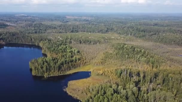 Vista Aérea Sobre Lago Entre Floresta — Vídeo de Stock