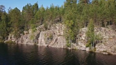 Gölün kıyısında kayalık orman bakan su üzerinde uçuş