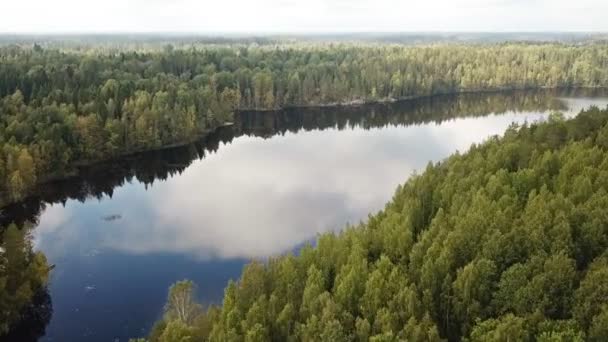 针叶林中的湖泊 从鸟瞰图看 — 图库视频影像