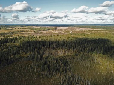 Bir peyzaj sonbahar hava görünümünde alanları ve ormanları - bulutlar altında