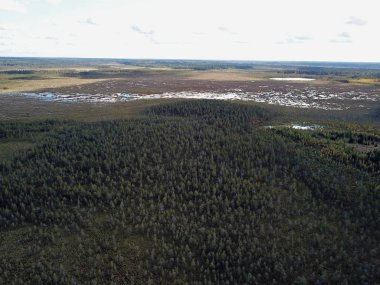 Bir peyzaj sonbahar hava görünümünde alanları ve ormanları - bulutlar altında