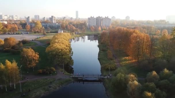 在日落时在城市公园的池塘上空飞行 速度2X — 图库视频影像