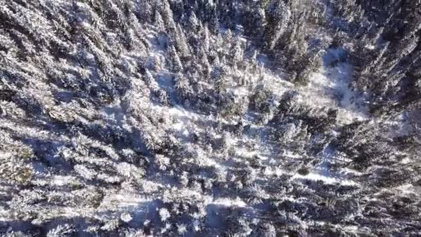 Survoler la forêt hivernale dans les montagnes avec la montée de la caméra d'en bas au lac Baïkal 