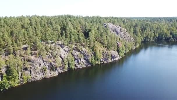 円錐の森の中の湖の岩の崖に沿って飛ぶ — ストック動画