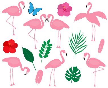 Flamingo vektör kuşunun çiçeklerini ayarla