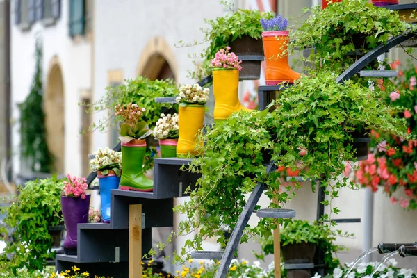 Uitzicht Stad Murten Zwitserland — Stockfoto