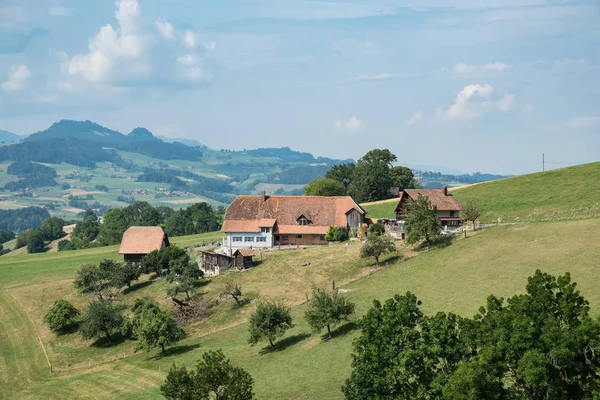 Beautiful Landscape Swiss Summer — Stock Photo, Image