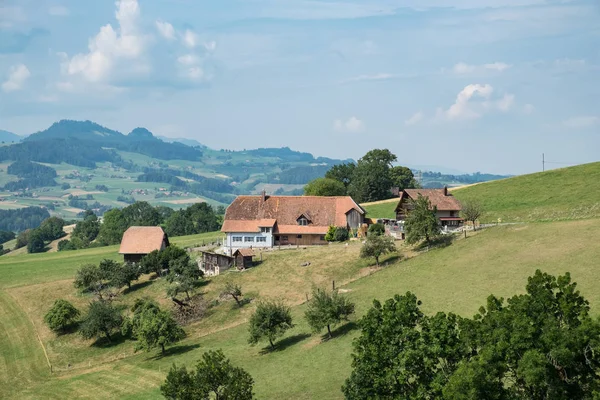 Hermoso Paisaje Suiza Verano — Foto de Stock