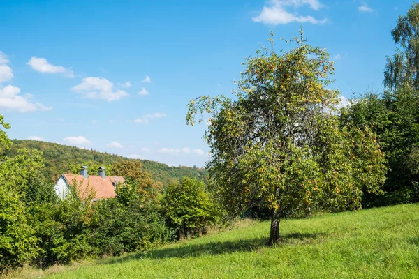 Paysage Romantique Koenigsbronn Allemagne Été — Photo