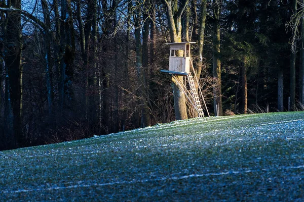 Deerstand Field Forest Bavaria Germany Winter — Stock Photo, Image