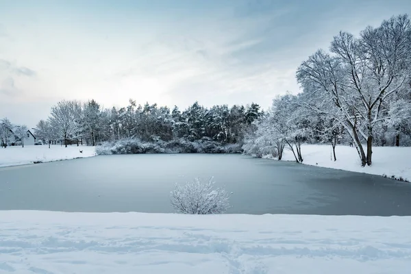 Foto Van Een Vijver Met Bomen Zware Sneeuw Het Dorp — Stockfoto