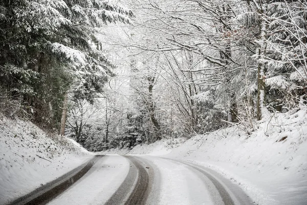 Straße Mit Bäumen Und Schnee Bayern Winter — Stockfoto