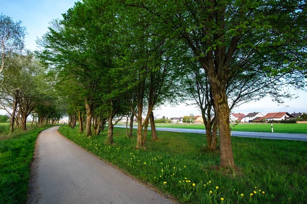 Изображение Велосипедной Дорожки Дорожки Деревьями Зеленым Лугом Рядом Майзахом Бавария — стоковое фото