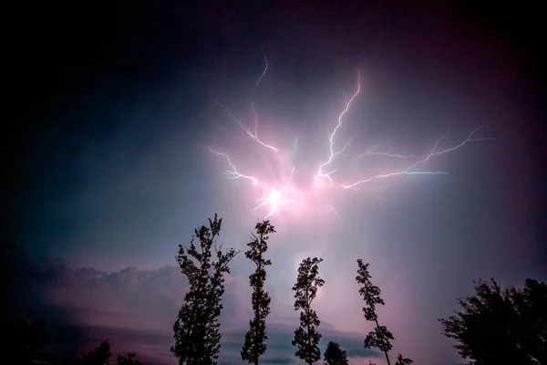 Tempesta Fulmini Con Alberi Tremanti Notte — Foto Stock