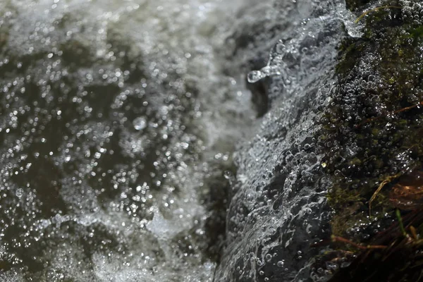 leaves floating over smooth river rocks